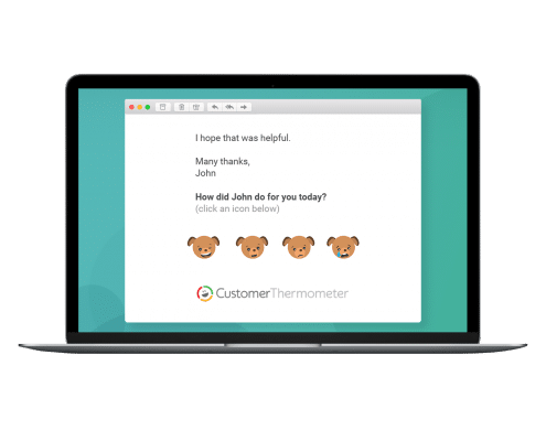 Dog-Laptop
