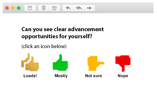staff survey question