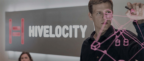 Customer centricity Hivelocity at work