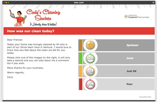 cleaning-satisfaction-survey