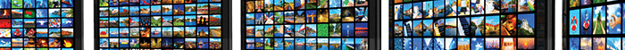 customer loyalty youtube