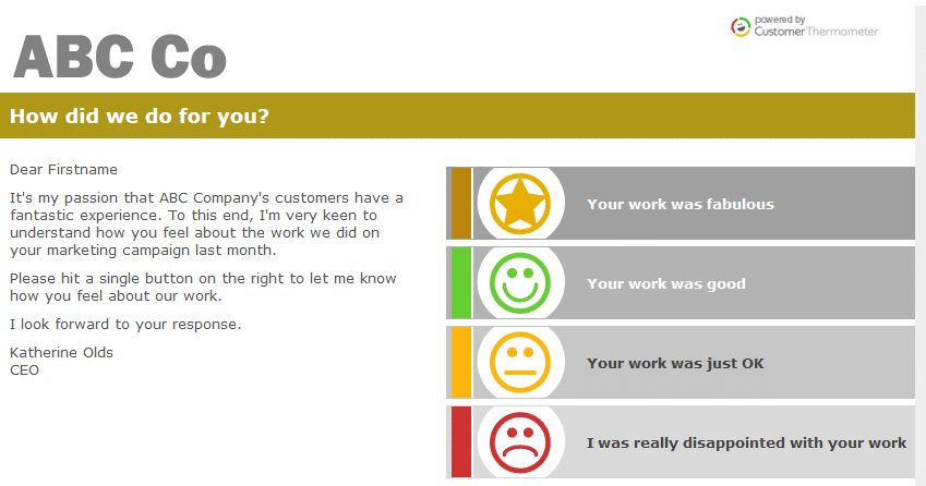 email survey preview