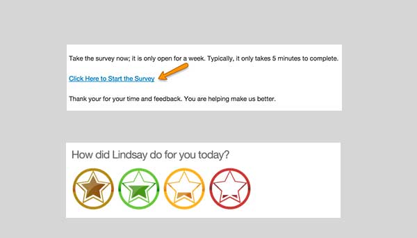 customer support survey
