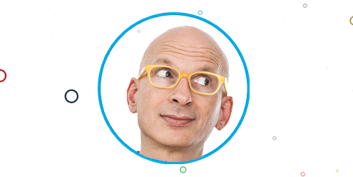 Seth Godin Surveys