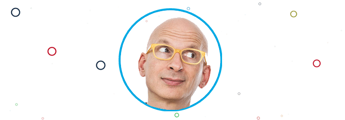 Seth Godin Surveys