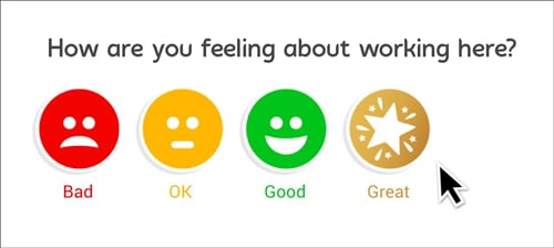 employee survey questions